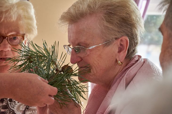 Symbolbild Sima-Training, mit allen Sinnen die Welt entdecken: Ältere Frau riecht am Zweig eines Nadelbaums;
